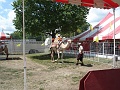 2012 Iowa State Fair 014